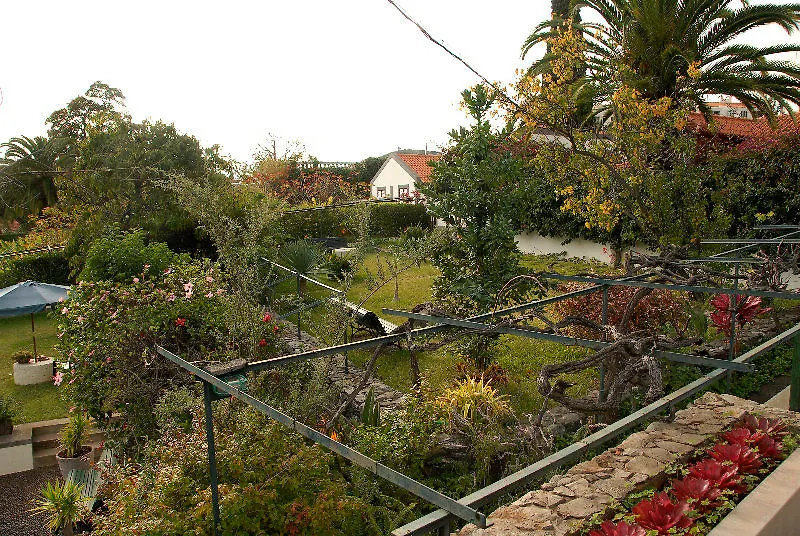 Hotel Vilas Oliveira Funchal